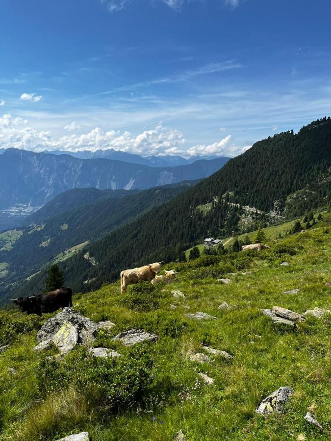 اوتز Die Acherberg Alm المظهر الخارجي الصورة